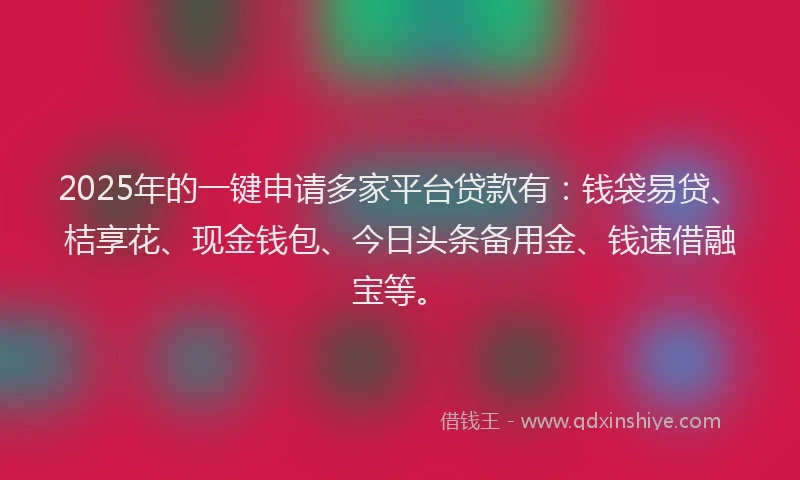 2025年的一键申请多家平台贷款有：钱袋易贷、桔享花、现金钱包、今日头条备用金、钱速借融宝等。