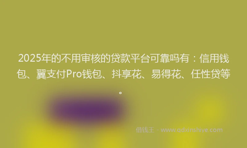 2025年的不用审核的贷款平台可靠吗有：信用钱包、翼支付Pro钱包、抖享花、易得花、任性贷等。