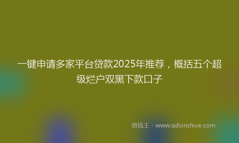 一键申请多家平台贷款2025年推荐，概括五个超级烂户双黑下款口子