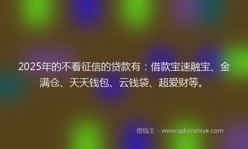 2025年的不看征信的贷款有：借款宝速融宝、金满仓、天天钱包、云钱袋、超爱财等。