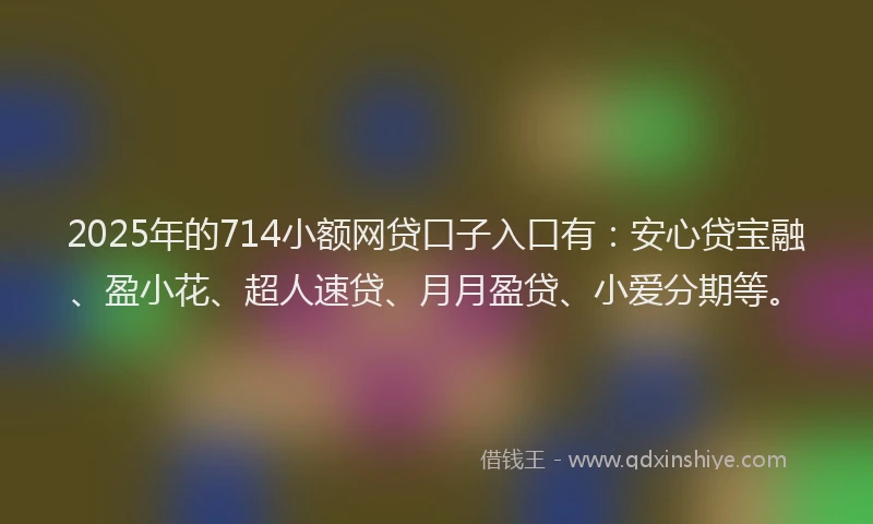 2025年的714小额网贷口子入口有：安心贷宝融、盈小花、超人速贷、月月盈贷、小爱分期等。