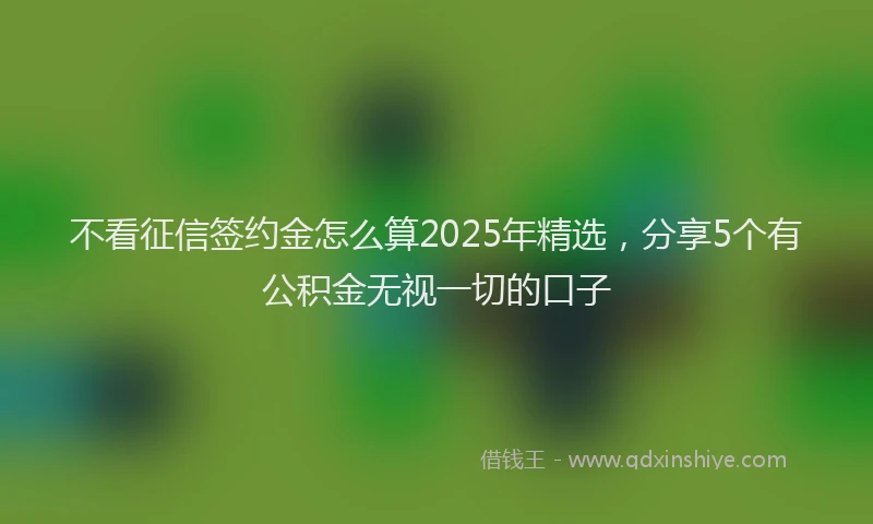 不看征信签约金怎么算2025年精选，分享5个有公积金无视一切的口子