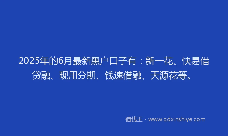 2025年的6月最新黑户口子有：新一花、快易借贷融、现用分期、钱速借融、天源花等。