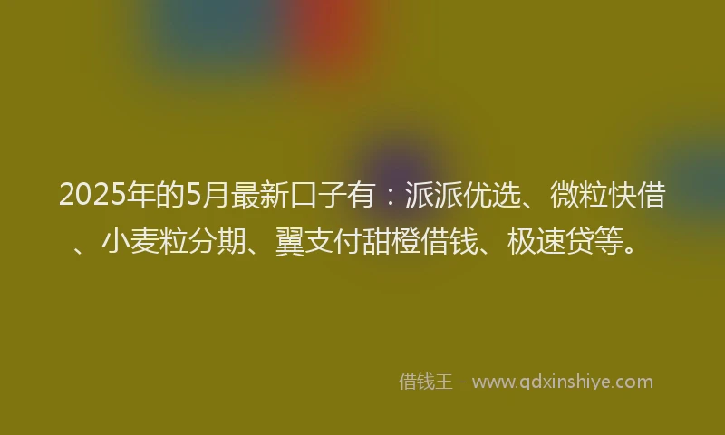 2025年的5月最新口子有：派派优选、微粒快借、小麦粒分期、翼支付甜橙借钱、极速贷等。