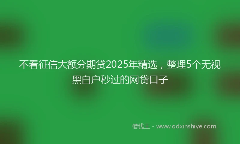 不看征信大额分期贷2025年精选，整理5个无视黑白户秒过的网贷口子