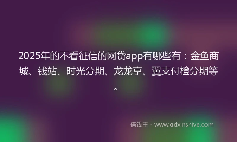 2025年的不看征信的网贷app有哪些有：金鱼商城、钱站、时光分期、龙龙享、翼支付橙分期等。