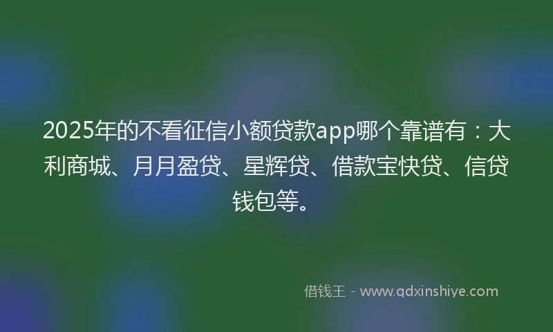 2025年的不看征信小额贷款app哪个靠谱有：大利商城、月月盈贷、星辉贷、借款宝快贷、信贷钱包等。