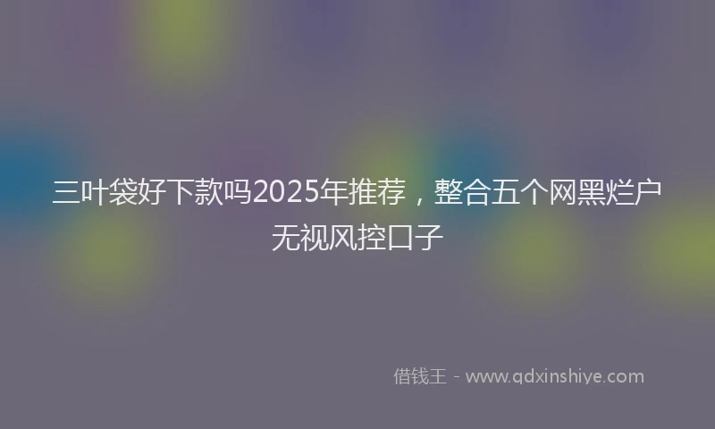 三叶袋好下款吗2025年推荐，整合五个网黑烂户无视风控口子
