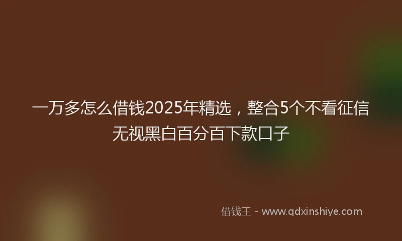 一万多怎么借钱2025年精选，整合5个不看征信无视黑白百分百下款口子