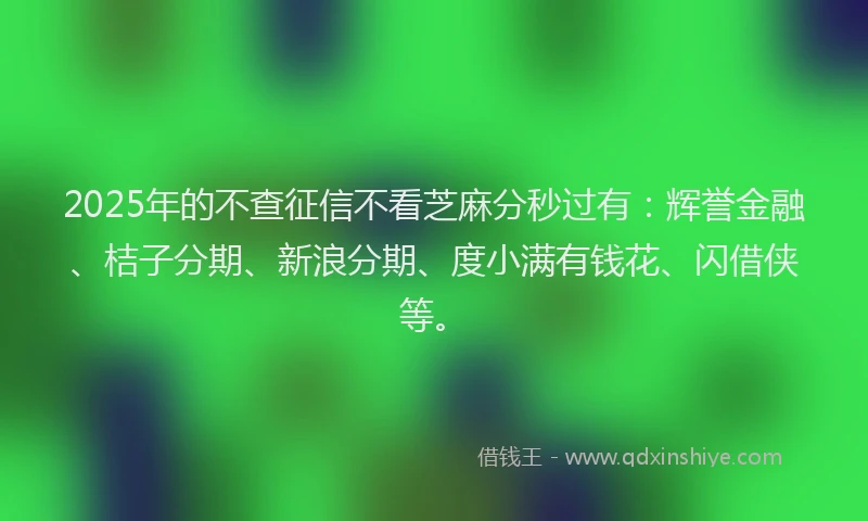 2025年的不查征信不看芝麻分秒过有：辉誉金融、桔子分期、新浪分期、度小满有钱花、闪借侠等。