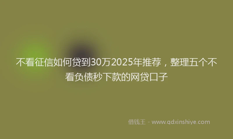 不看征信如何贷到30万2025年推荐，整理五个不看负债秒下款的网贷口子