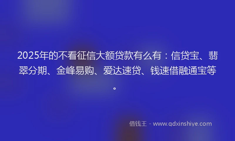 2025年的不看征信大额贷款有么有：信贷宝、翡翠分期、金峰易购、爱达速贷、钱速借融通宝等。