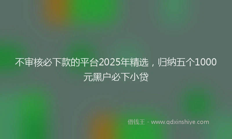 不审核必下款的平台2025年精选，归纳五个1000元黑户必下小贷
