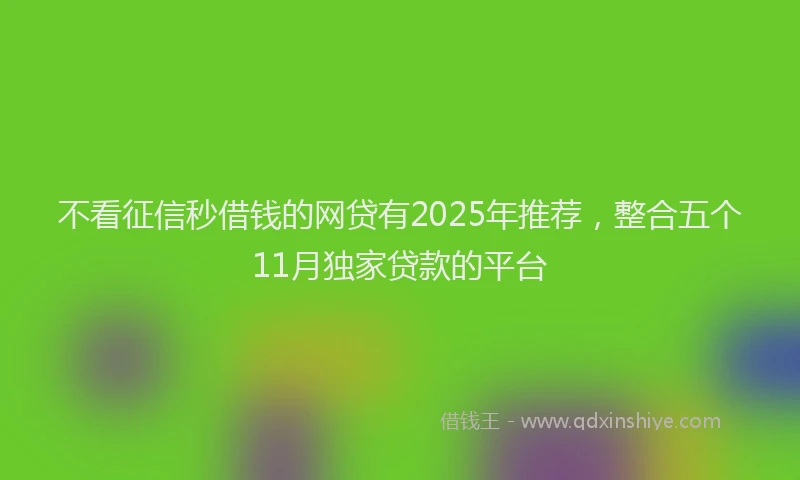 不看征信秒借钱的网贷有2025年推荐，整合五个11月独家贷款的平台