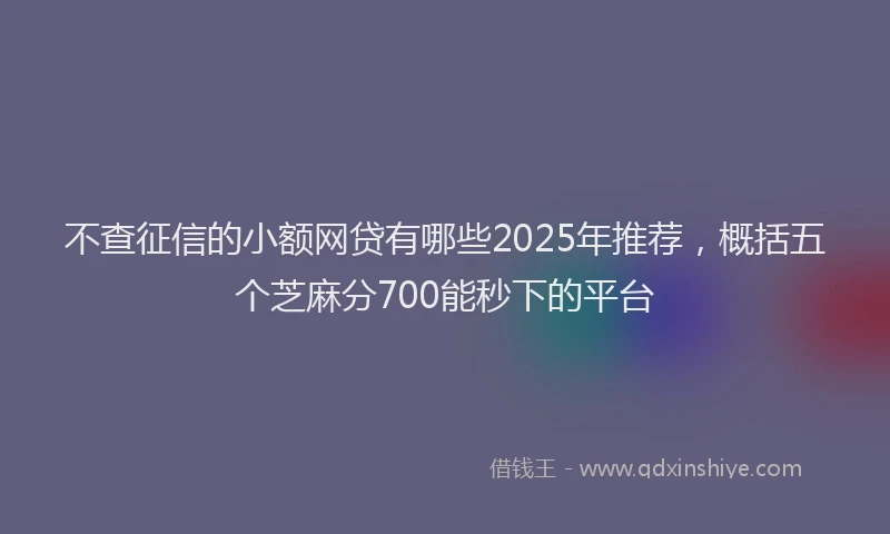 不查征信的小额网贷有哪些2025年推荐，概括五个芝麻分700能秒下的平台