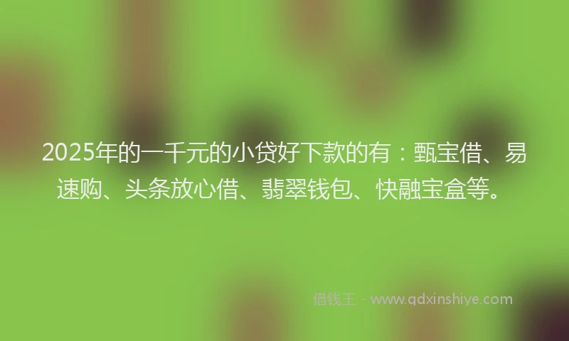 2025年的一千元的小贷好下款的有：甄宝借、易速购、头条放心借、翡翠钱包、快融宝盒等。