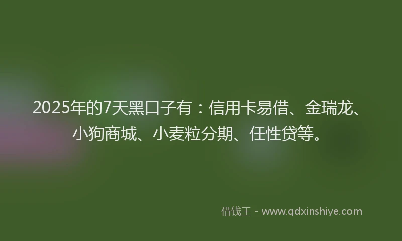 2025年的7天黑口子有：信用卡易借、金瑞龙、小狗商城、小麦粒分期、任性贷等。