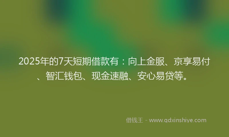 2025年的7天短期借款有：向上金服、京享易付、智汇钱包、现金速融、安心易贷等。