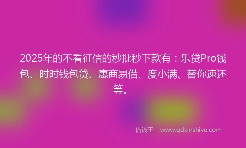2025年的不看征信的秒批秒下款有：乐贷Pro钱包、时时钱包贷、惠商易借、度小满、替你速还等。