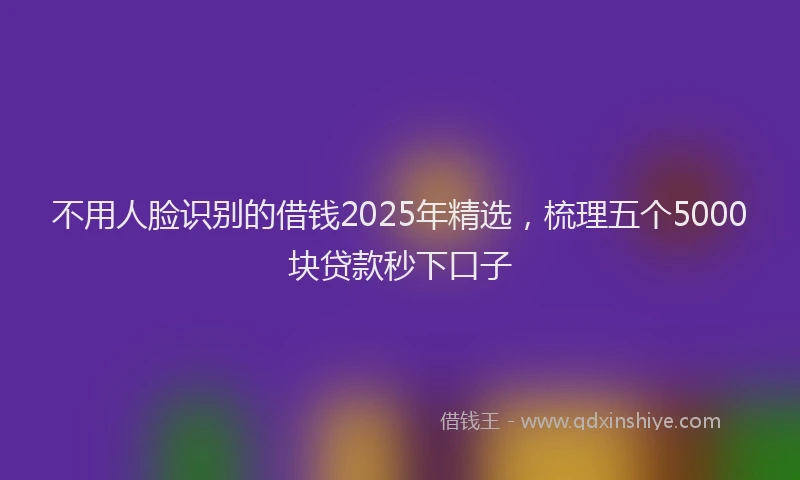不用人脸识别的借钱2025年精选，梳理五个5000块贷款秒下口子