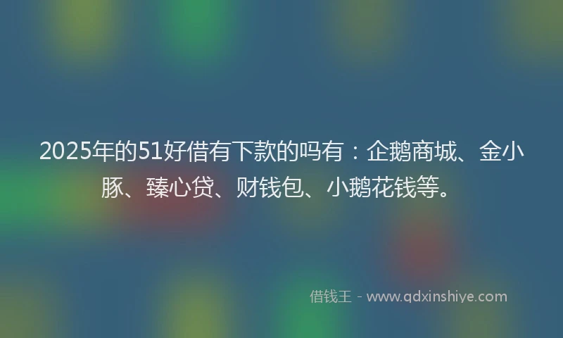 2025年的51好借有下款的吗有：企鹅商城、金小豚、臻心贷、财钱包、小鹅花钱等。