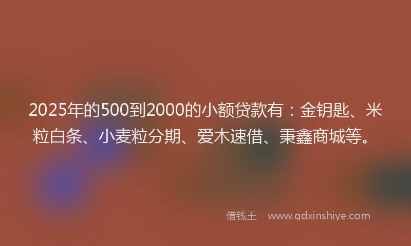 2025年的500到2000的小额贷款有：金钥匙、米粒白条、小麦粒分期、爱木速借、秉鑫商城等。