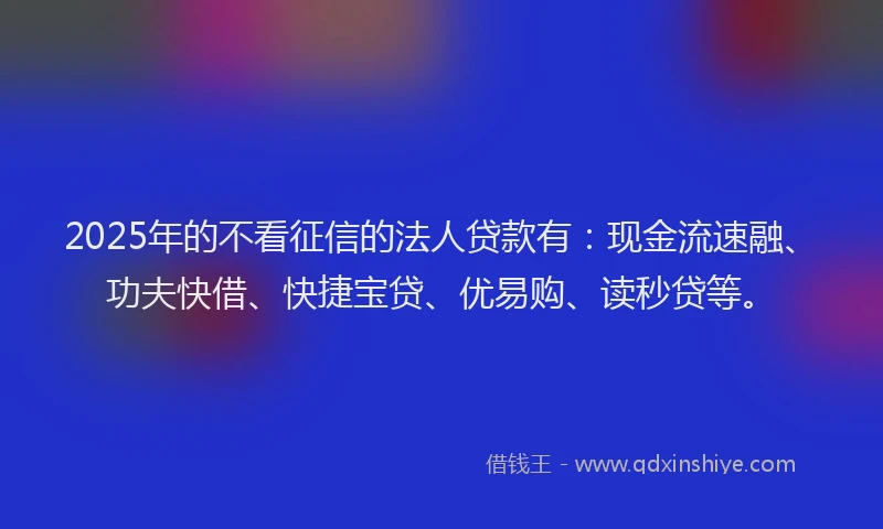 2025年的不看征信的法人贷款有：现金流速融、功夫快借、快捷宝贷、优易购、读秒贷等。