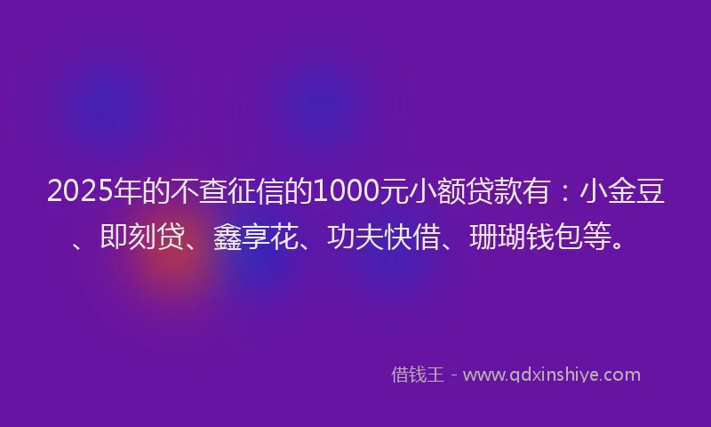 2025年的不查征信的1000元小额贷款有：小金豆、即刻贷、鑫享花、功夫快借、珊瑚钱包等。