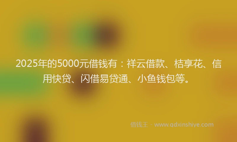2025年的5000元借钱有：祥云借款、桔享花、信用快贷、闪借易贷通、小鱼钱包等。