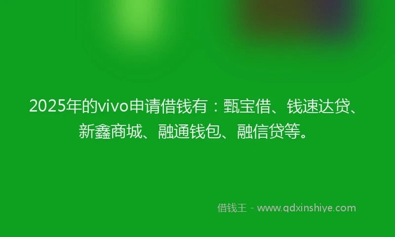 2025年的vivo申请借钱有：甄宝借、钱速达贷、新鑫商城、融通钱包、融信贷等。