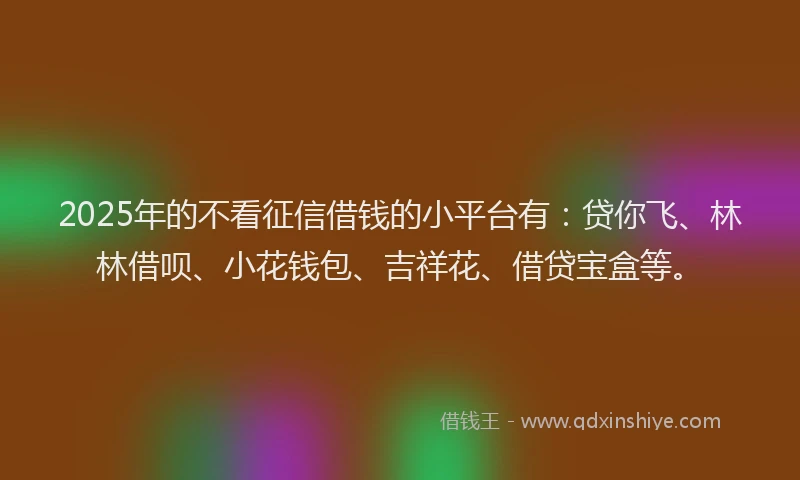 2025年的不看征信借钱的小平台有：贷你飞、林林借呗、小花钱包、吉祥花、借贷宝盒等。