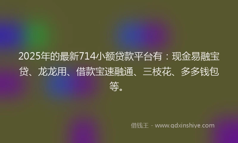 2025年的最新714小额贷款平台有：现金易融宝贷、龙龙用、借款宝速融通、三枝花、多多钱包等。