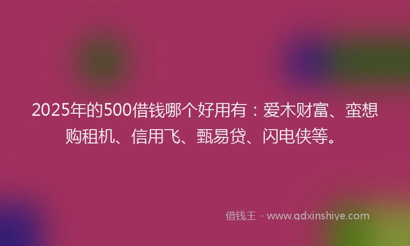 2025年的500借钱哪个好用有：爱木财富、蛮想购租机、信用飞、甄易贷、闪电侠等。