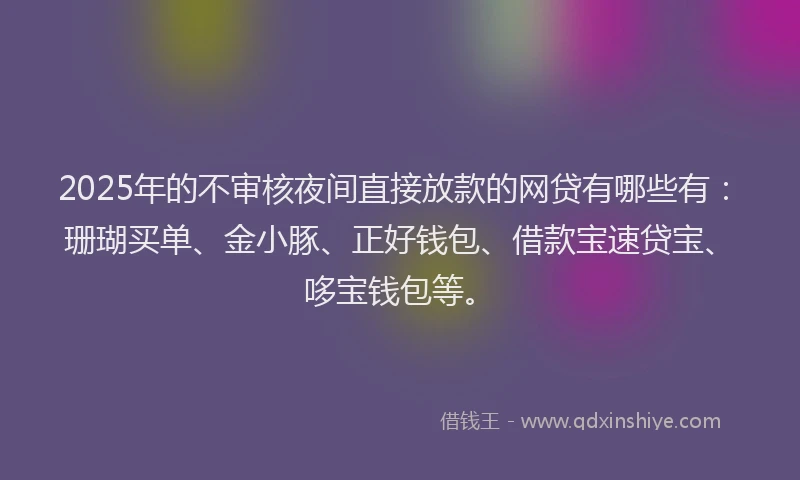 2025年的不审核夜间直接放款的网贷有哪些有：珊瑚买单、金小豚、正好钱包、借款宝速贷宝、哆宝钱包等。