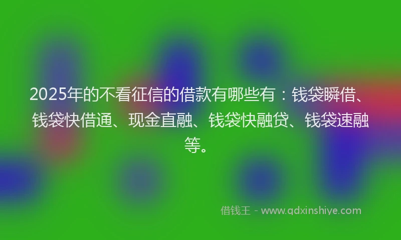 2025年的不看征信的借款有哪些有：钱袋瞬借、钱袋快借通、现金直融、钱袋快融贷、钱袋速融等。