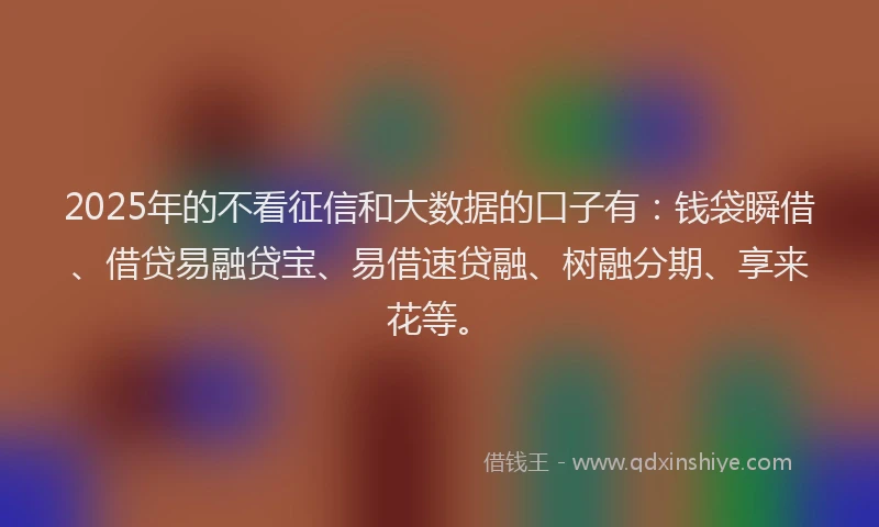 2025年的不看征信和大数据的口子有：钱袋瞬借、借贷易融贷宝、易借速贷融、树融分期、享来花等。