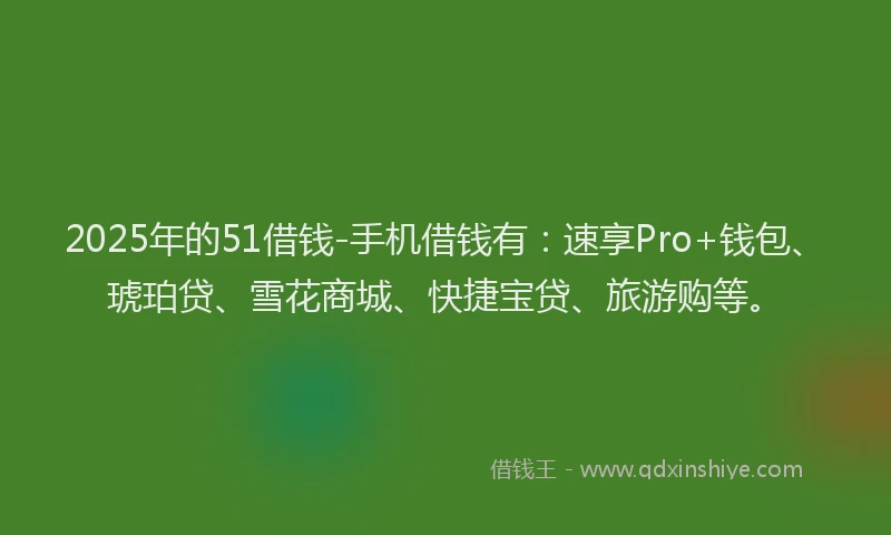 2025年的51借钱-手机借钱有：速享Pro+钱包、琥珀贷、雪花商城、快捷宝贷、旅游购等。