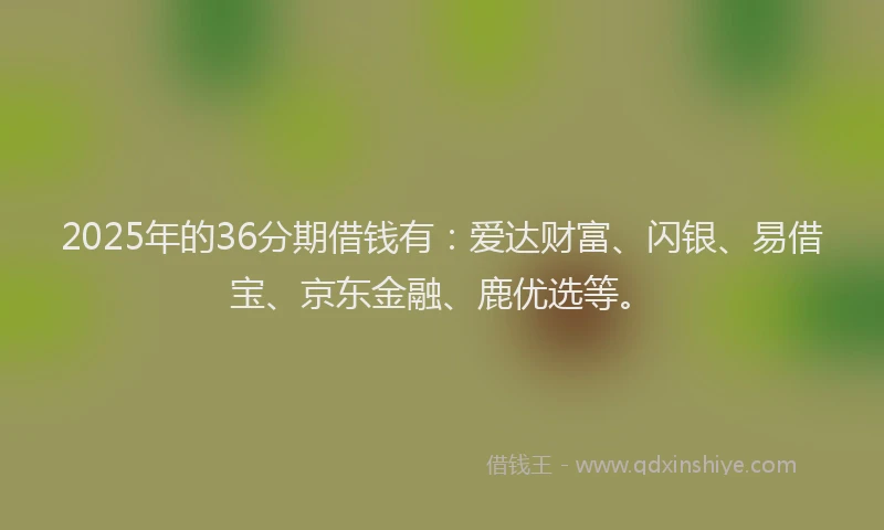 2025年的36分期借钱有：爱达财富、闪银、易借宝、京东金融、鹿优选等。