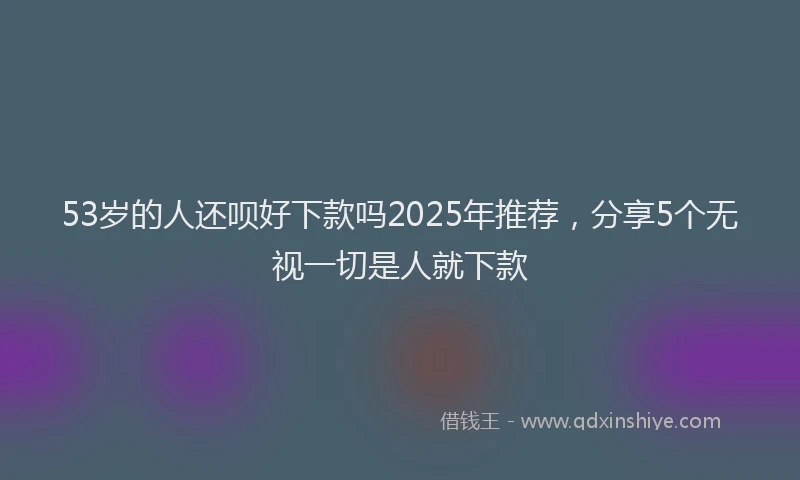 53岁的人还呗好下款吗2025年推荐，分享5个无视一切是人就下款