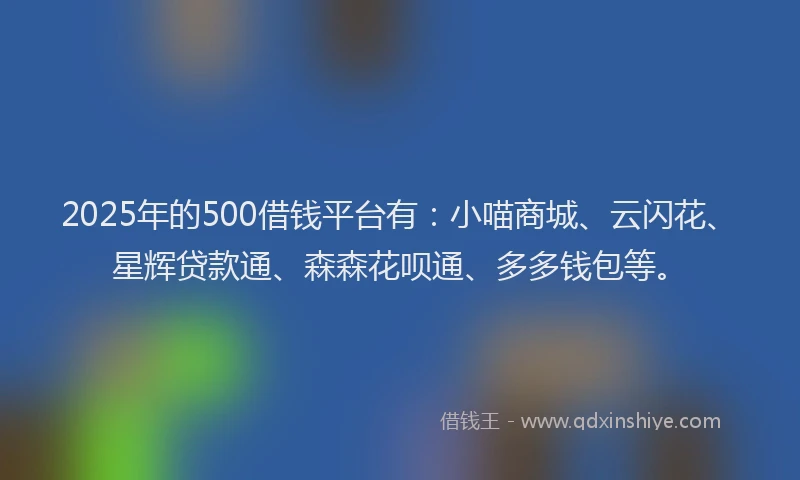 2025年的500借钱平台有：小喵商城、云闪花、星辉贷款通、森森花呗通、多多钱包等。