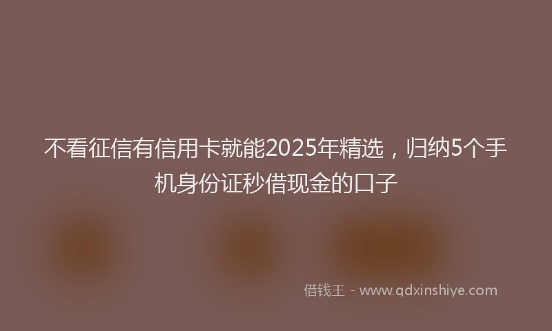 不看征信有信用卡就能2025年精选，归纳5个手机身份证秒借现金的口子
