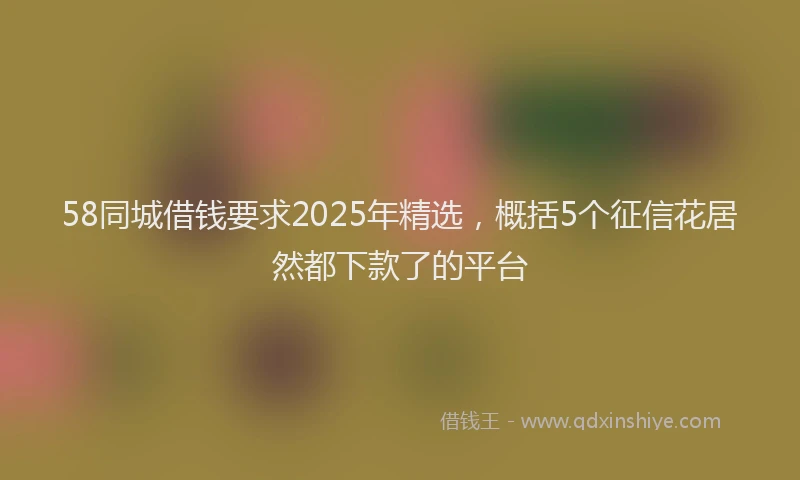 58同城借钱要求2025年精选，概括5个征信花居然都下款了的平台