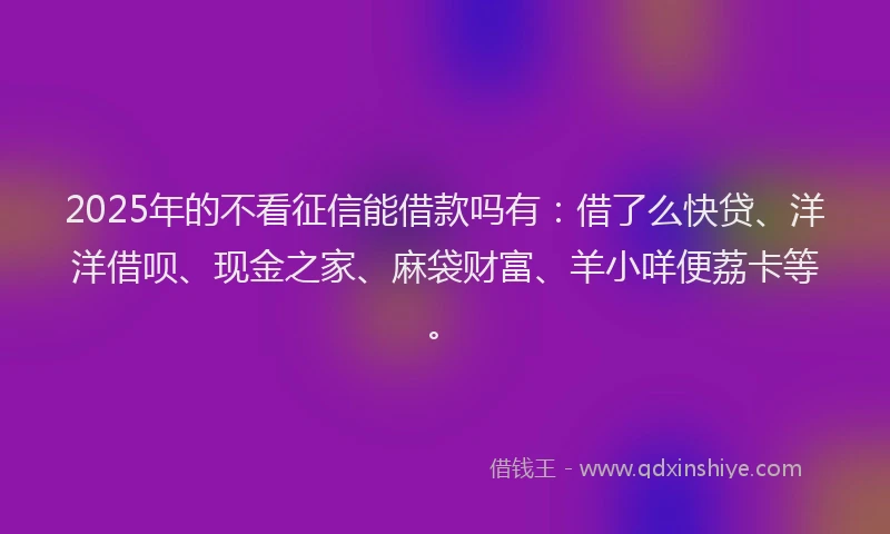 2025年的不看征信能借款吗有：借了么快贷、洋洋借呗、现金之家、麻袋财富、羊小咩便荔卡等。
