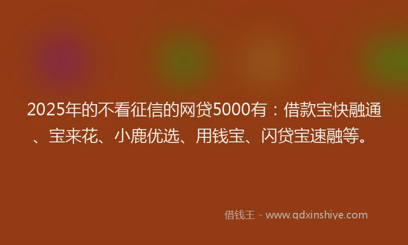 2025年的不看征信的网贷5000有：借款宝快融通、宝来花、小鹿优选、用钱宝、闪贷宝速融等。