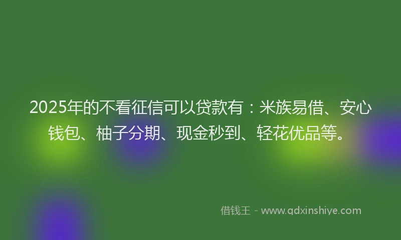 2025年的不看征信可以贷款有：米族易借、安心钱包、柚子分期、现金秒到、轻花优品等。