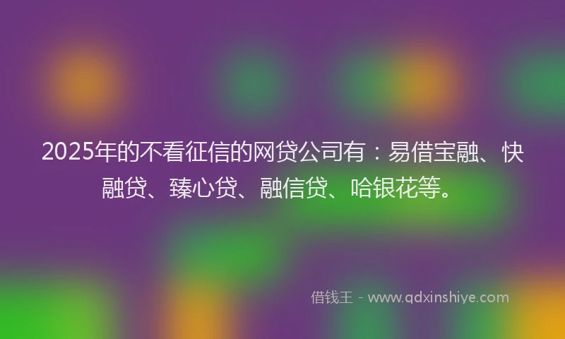 2025年的不看征信的网贷公司有：易借宝融、快融贷、臻心贷、融信贷、哈银花等。