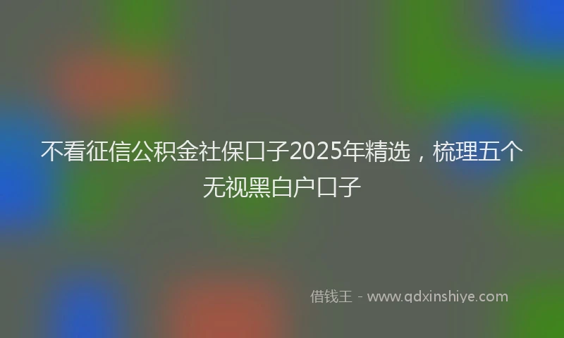 不看征信公积金社保口子2025年精选，梳理五个无视黑白户口子