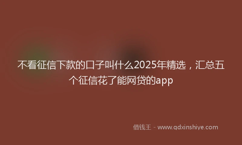 不看征信下款的口子叫什么2025年精选，汇总五个征信花了能网贷的app