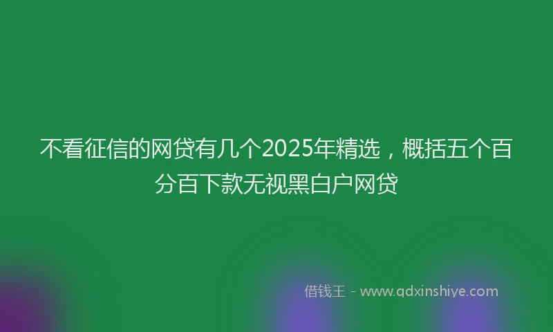 不看征信的网贷有几个2025年精选，概括五个百分百下款无视黑白户网贷