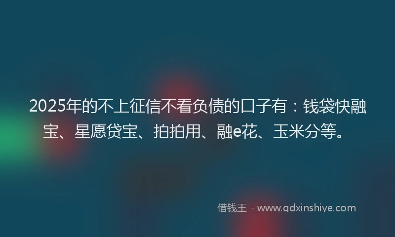 2025年的不上征信不看负债的口子有：钱袋快融宝、星愿贷宝、拍拍用、融e花、玉米分等。